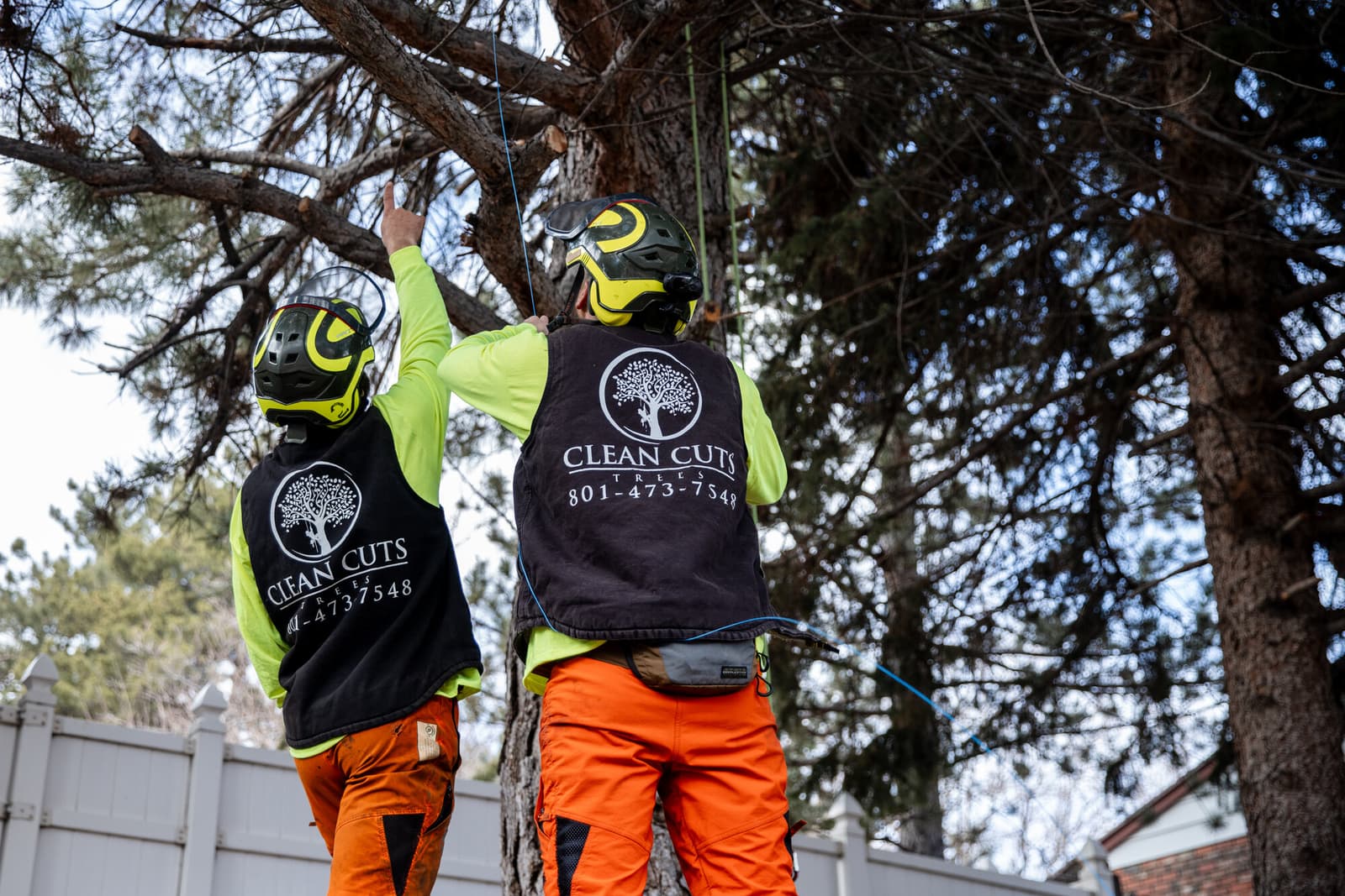 Clean Cuts Trees professional emergency tree service team ready for 24/7 response in Davis and Weber Counties Utah