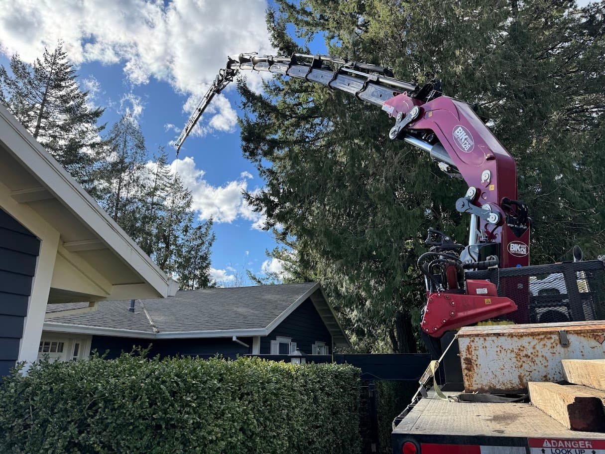Clean Cuts Trees crew handling emergency tree removal work