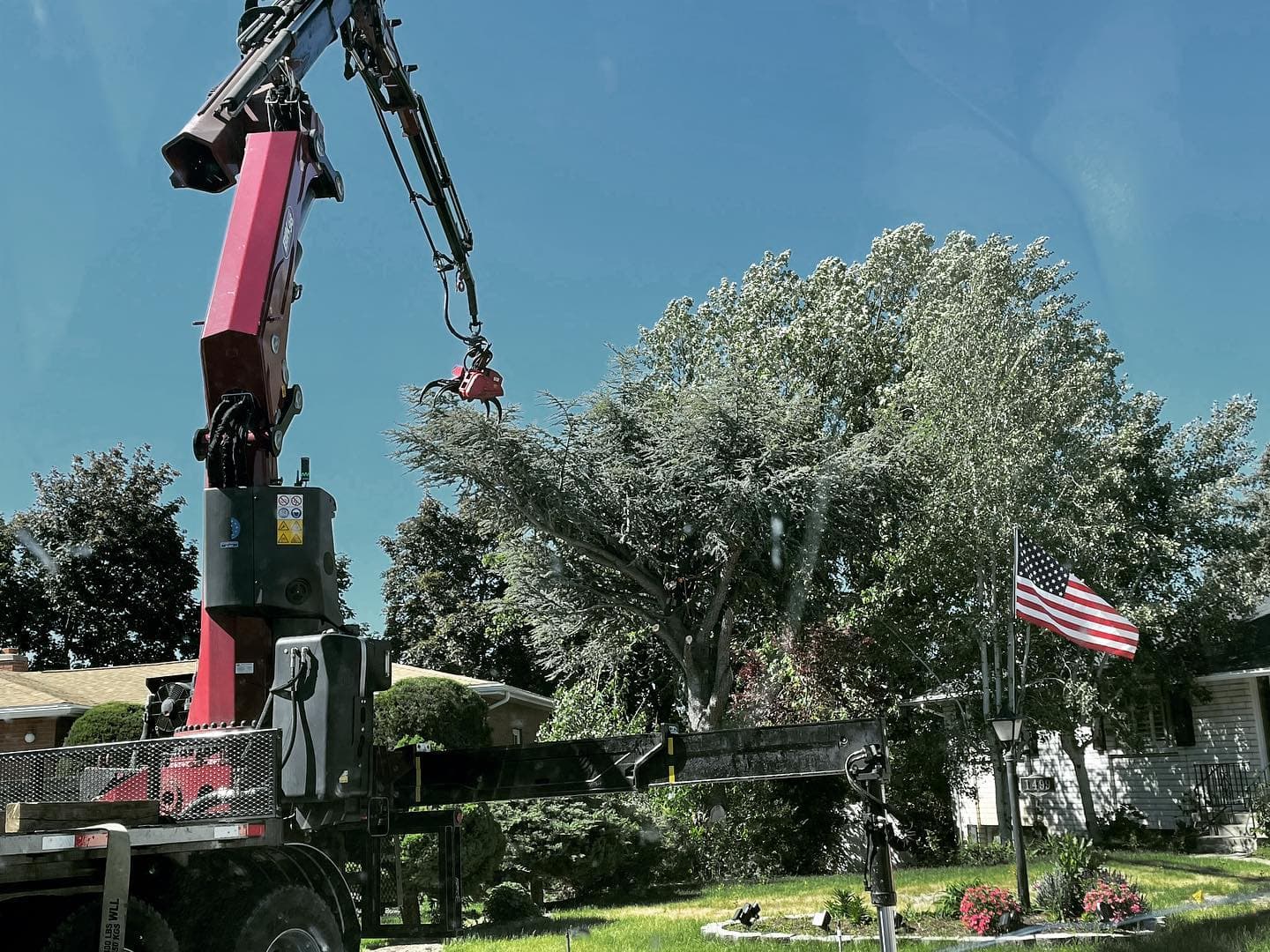 Tree Trimming
