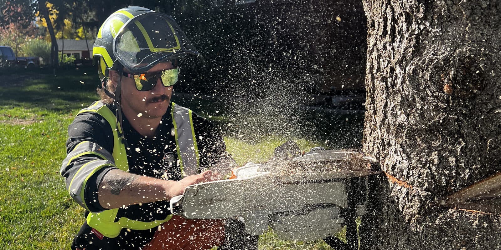 Clean Cuts Trees arborist making a chainsaw cut through a trunk during an emergency call-out in Utah
