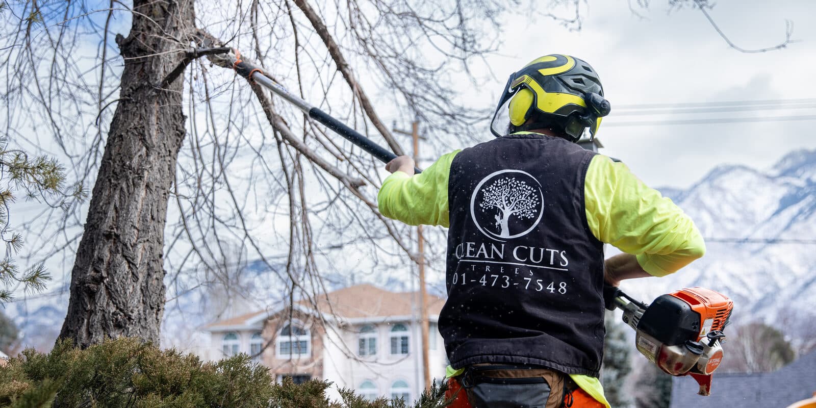 Clean Cuts Trees arborist pruning a fruit tree with a pole saw, Wasatch mountains behind, in Utah