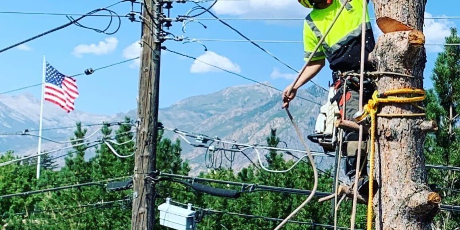 Clean Cuts Trees arborist performing line-clearance work on a utility pole in Utah