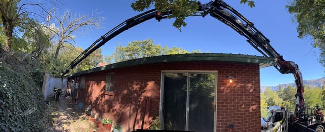 Stump grinding services in St. George rocky terrain