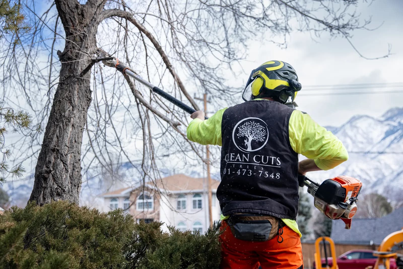 Clean Cuts Trees certified arborist trimming a tree in Kaysville, Utah, with the Wasatch mountains behind