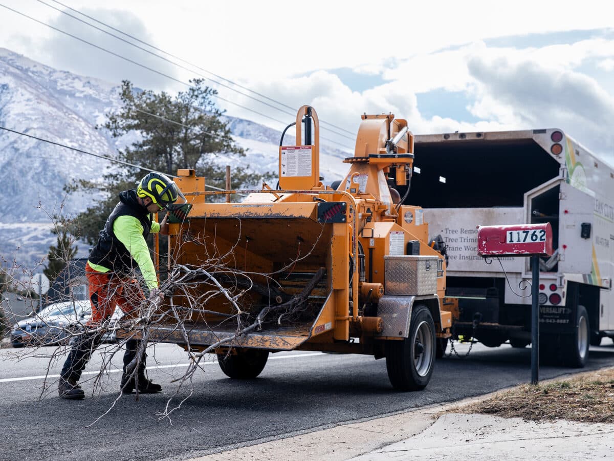 Professional Land Clearing Services