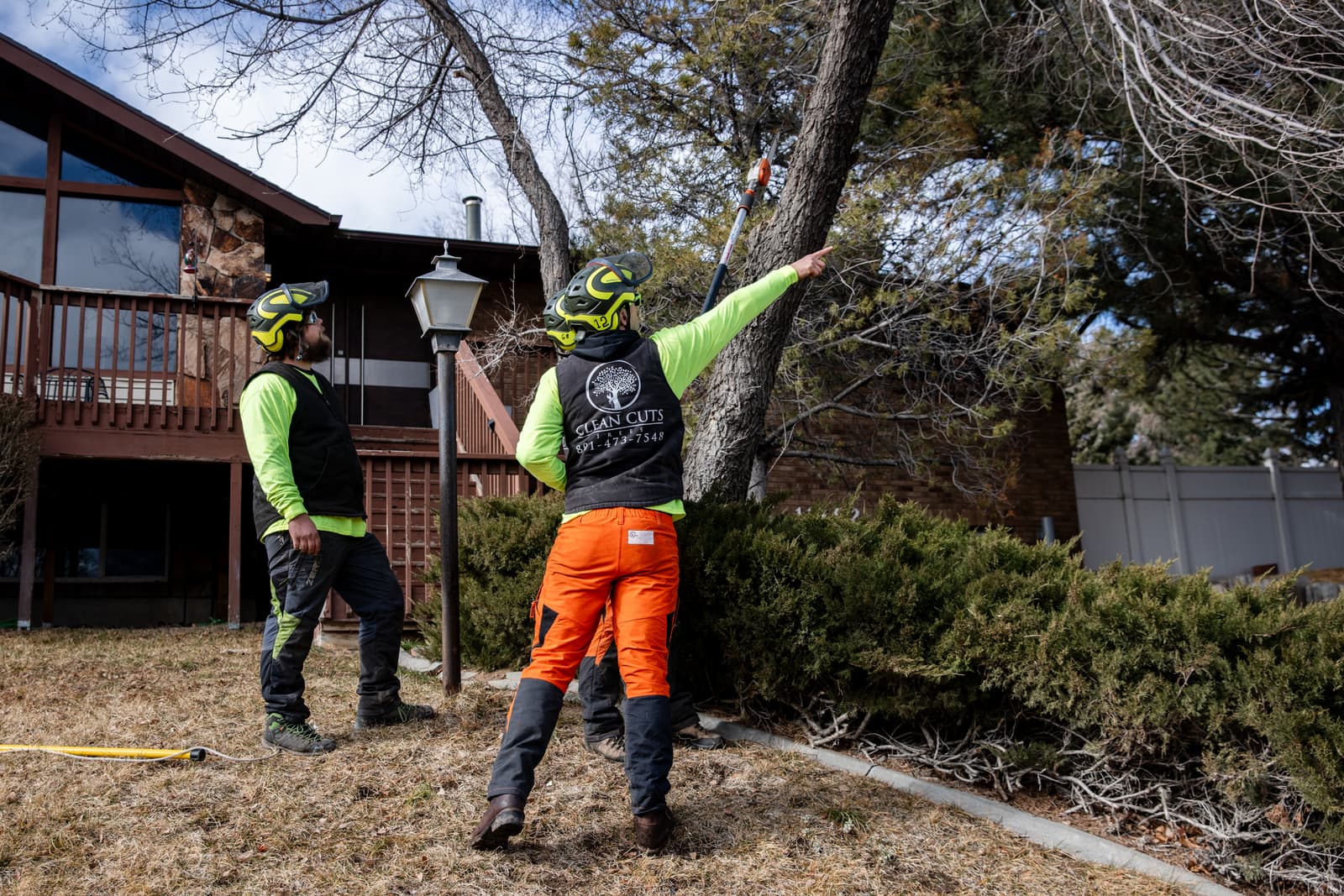 Professional tree service in St. George, Utah - Clean Cuts Trees serving Southern Utah with expert tree care and emergency services