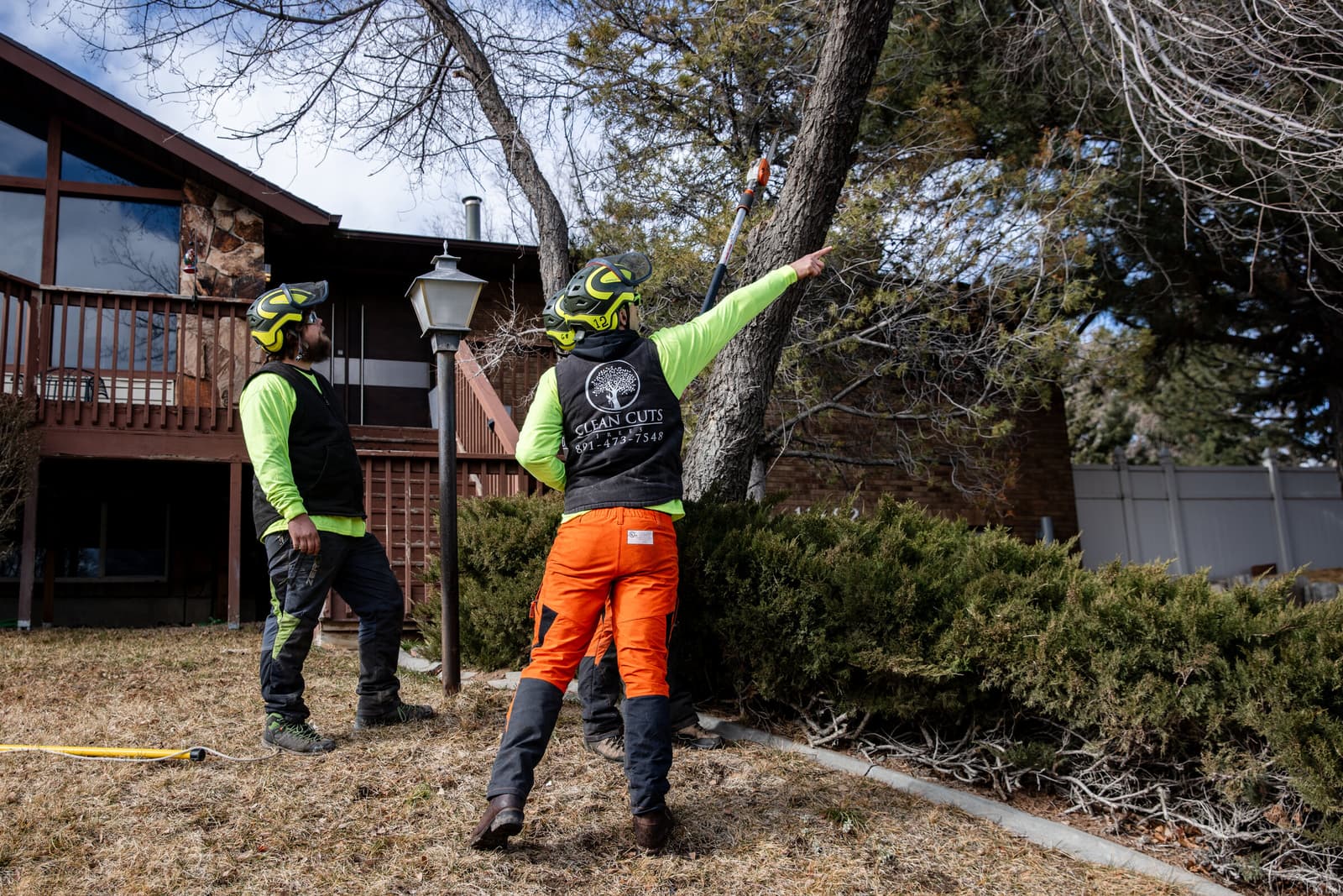 Professional tree service in St. George, Utah - Clean Cuts Trees serving Southern Utah with expert tree care, removal, and emergency services