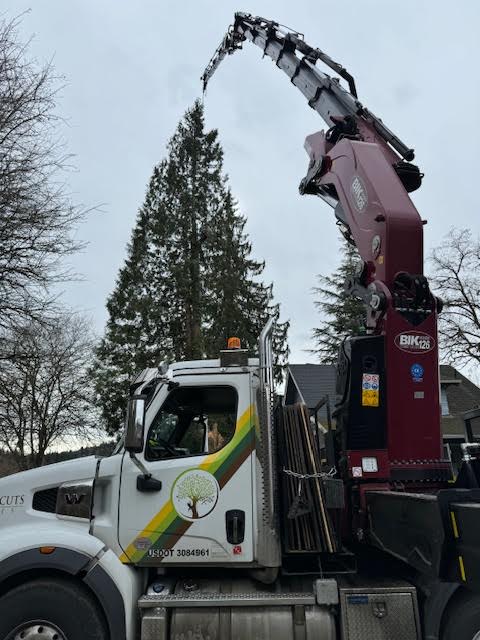 Land Clearing Services Kaysville UT