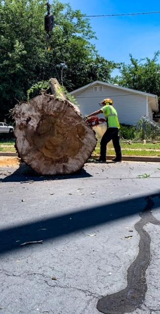 Land Clearing Services Kaysville UT