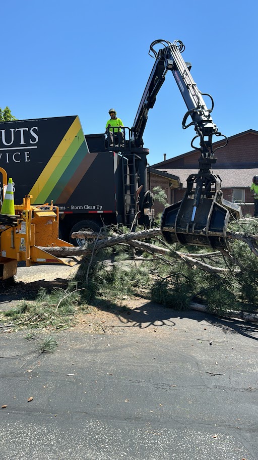 Land Clearing Services Kaysville UT