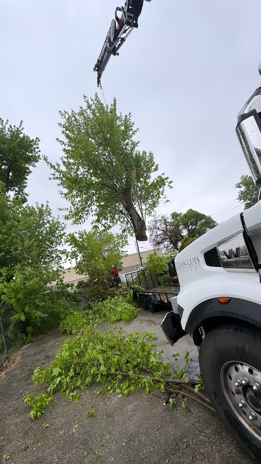Land Clearing Services Kaysville UT