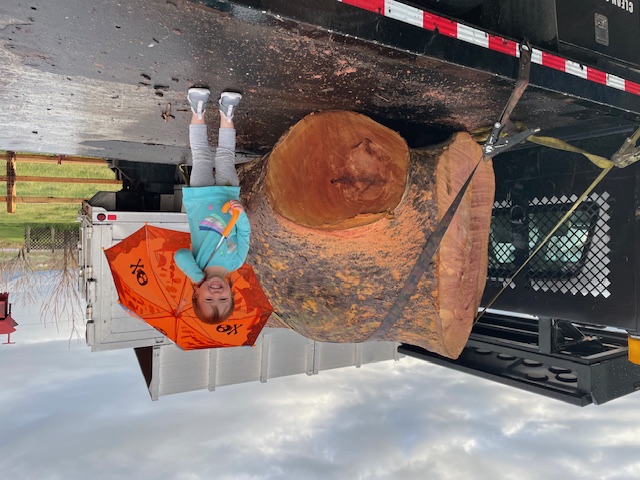 Land Clearing Services Kaysville UT