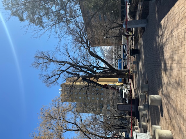 Land Clearing Services Kaysville UT