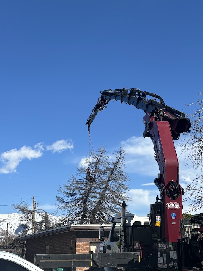 Land Clearing Services Kaysville UT