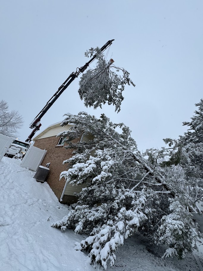 Land Clearing Services Kaysville UT