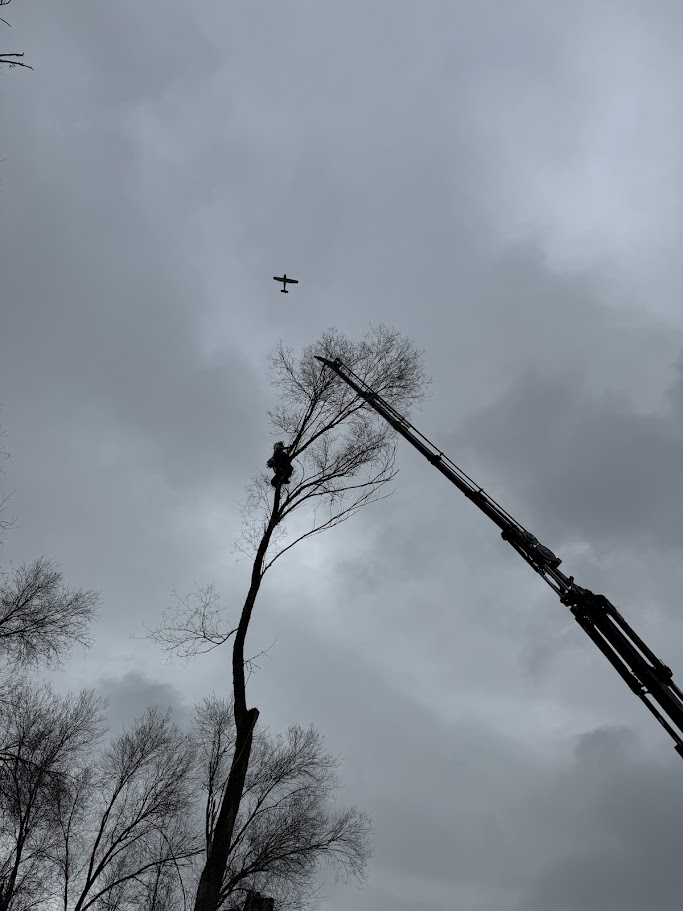 Land Clearing Services Kaysville UT