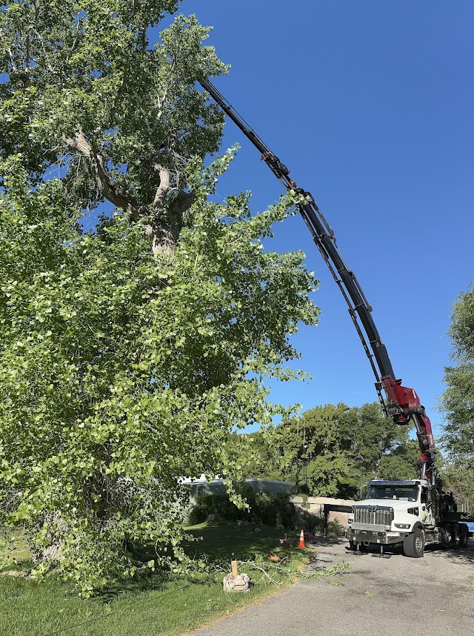 Land Clearing Services Kaysville UT