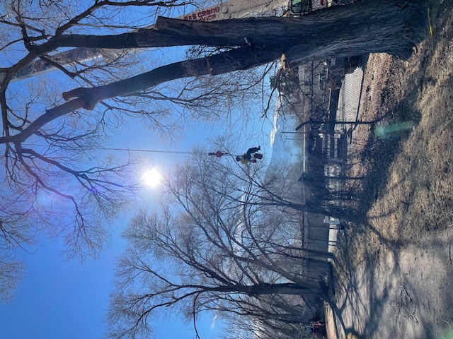 Land Clearing Services Kaysville UT