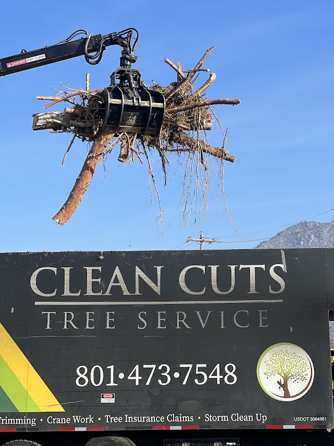 Land Clearing Services Kaysville UT