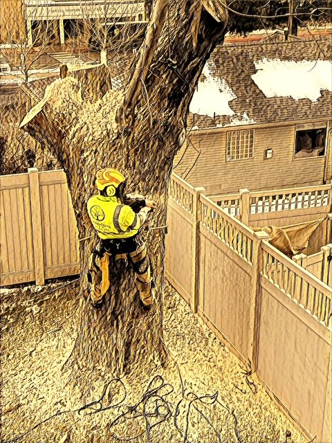 Land Clearing Services Kaysville UT