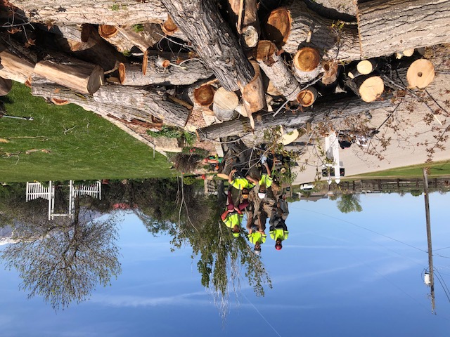 Land Clearing Services Kaysville UT