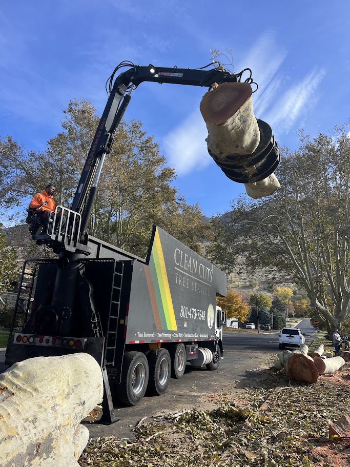 Land Clearing Services Kaysville UT