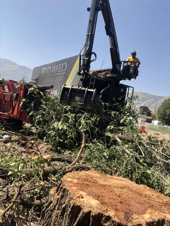 Land Clearing Services Kaysville UT