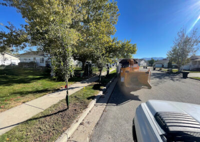 Land Clearing Removal Kaysville UT