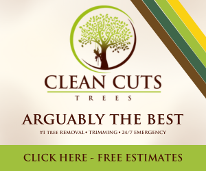 A banner showing Clean Cuts Trees as a top-rated tree service.