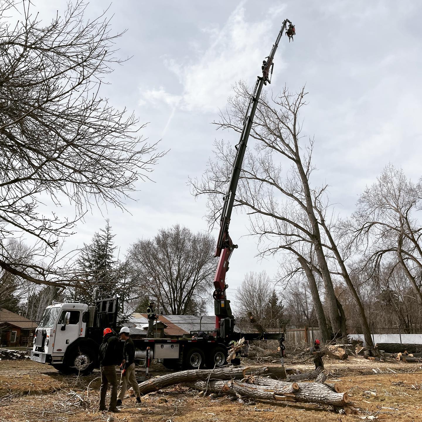 storm clean up ogden ut