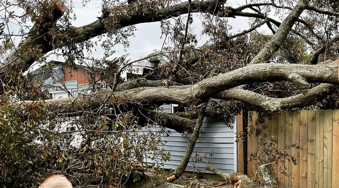 Why Major Tree Cleanup After Storm Should Be Done By Professionals