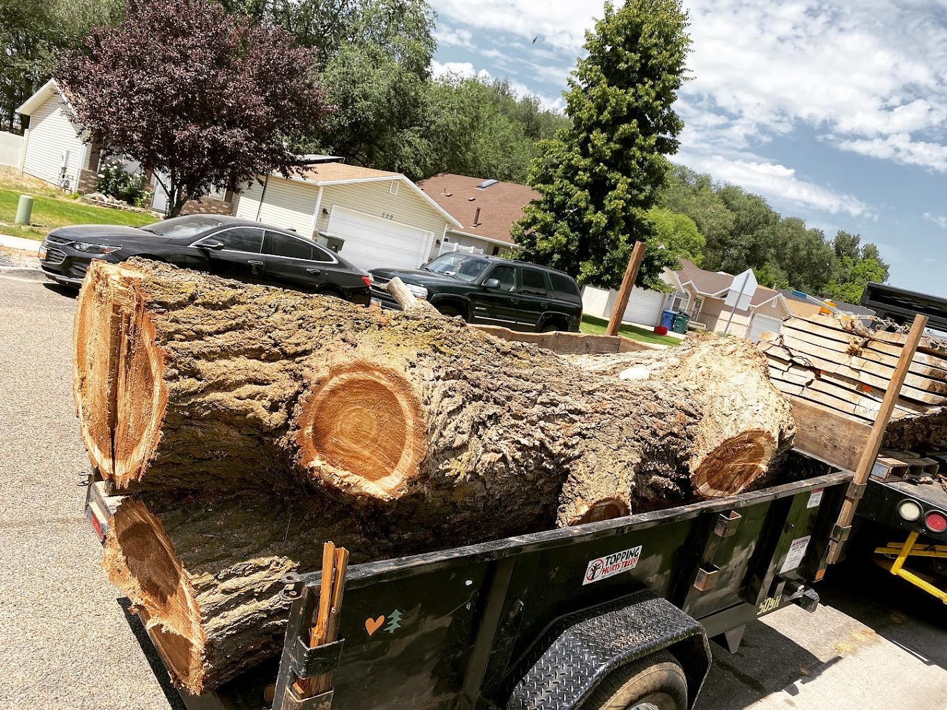 A tree service job in Weber County, UT